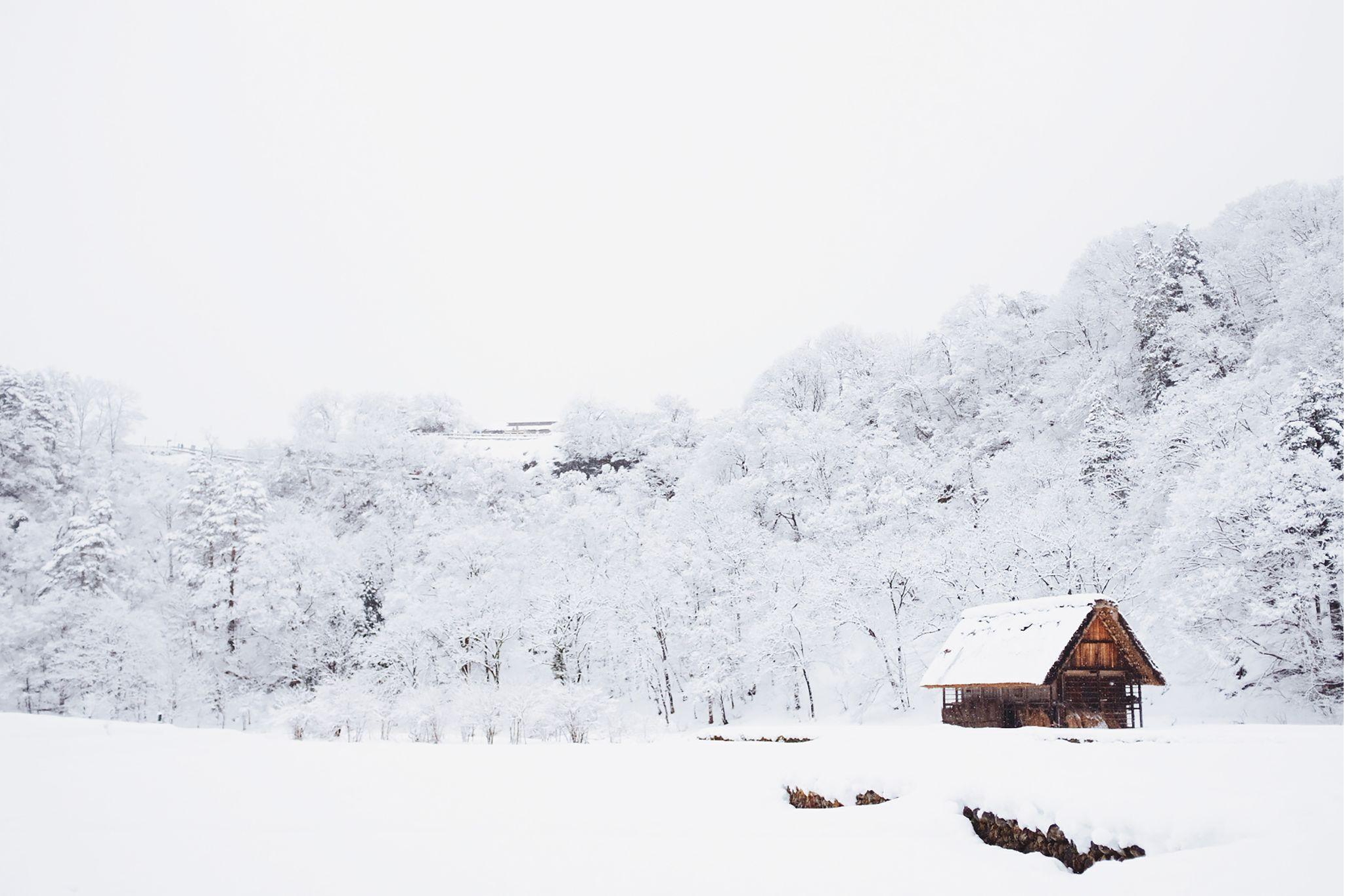 火災保険は雪害・雪災にも使える？利用できる事例と申請手順を解説