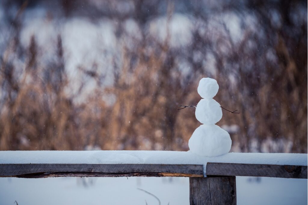 雪の被害は保険で補償される？